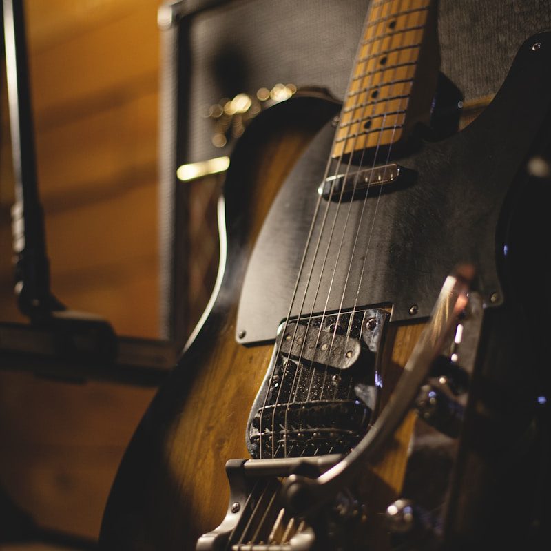 shallow focus photo of black and brown electric guitar