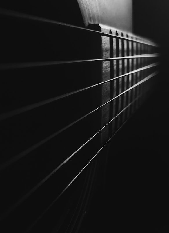 a black and white photo of a guitar