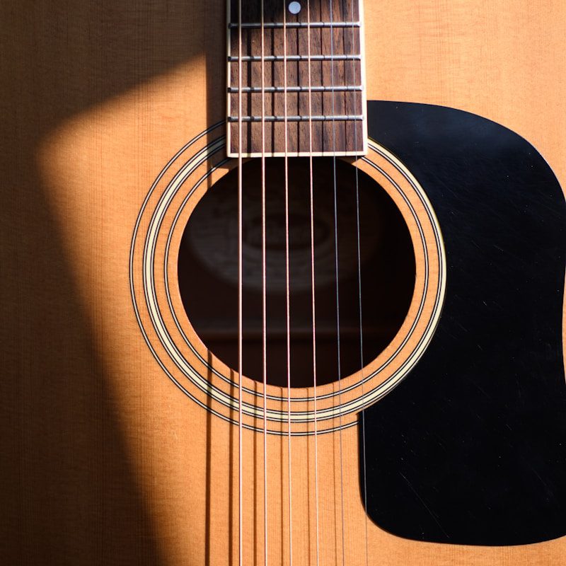 photo of brown gutiar fret